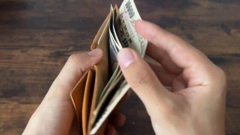 kissora(キソラ)サビアシリーズ二つ折り財布の札入れ