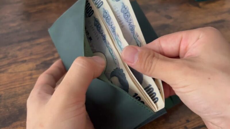 TIDY POT(タイディポット)の札入れ