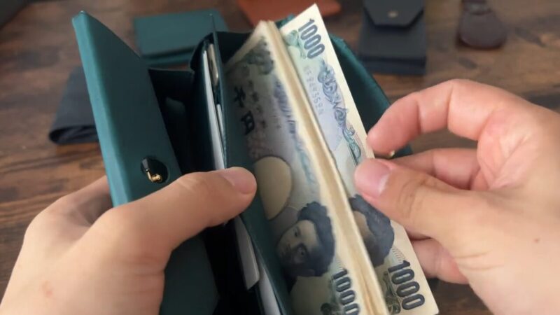 PLOWS(プラウズ)dritto 1(ドリット1)の札入れ