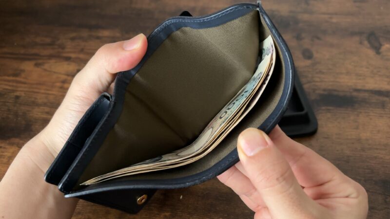 Wホック&Wステッチ ミニ財布(S)の札入れの生地